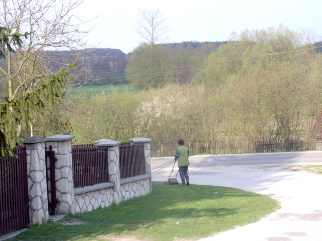 Photograph