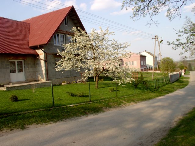 Photograph